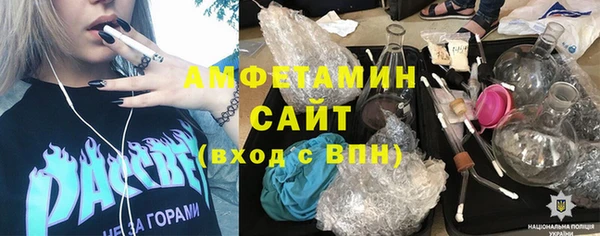 мет Алексин