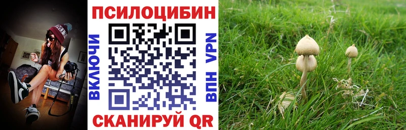 Псилоцибиновые грибы ЛСД  Осинники 